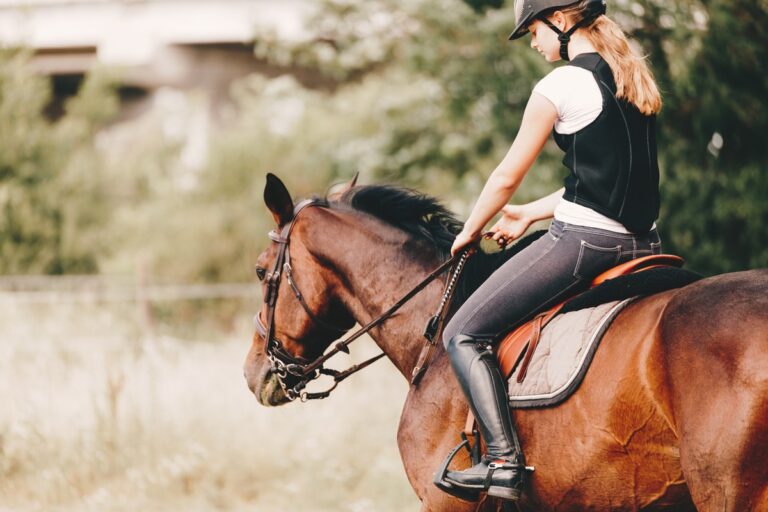 Reiterin mit Reithose auf Pferd
