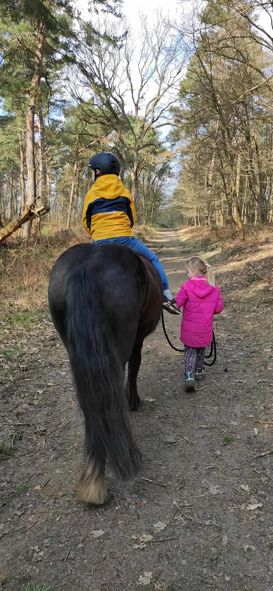 Zwei Kinder machen mit einem Pferd einen Spaziergang