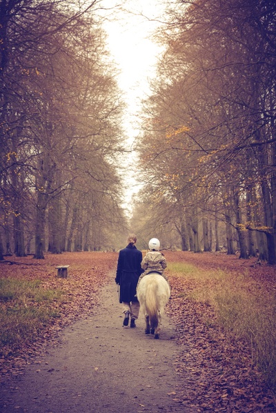 Kind reitet Pony im herbstlichen Wald, begleitet von Erwachsener