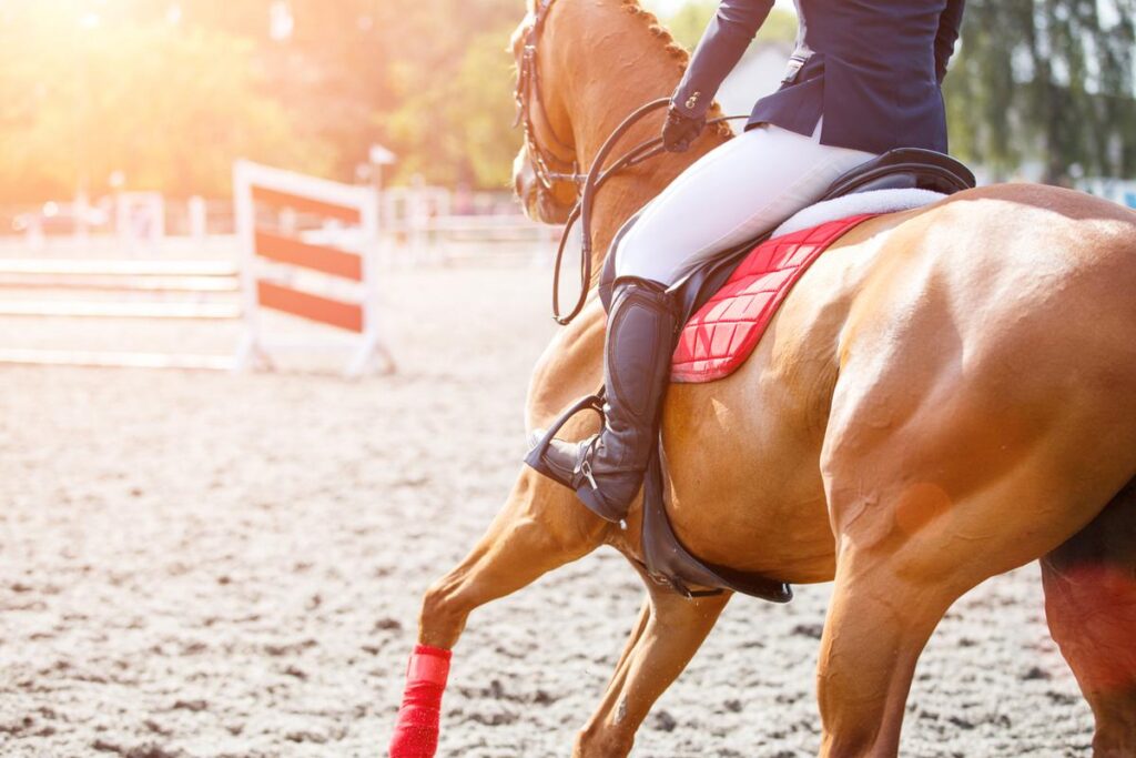 Turnierreiten mit Reiterhilfen – Pferd und Reiterin in der Arena