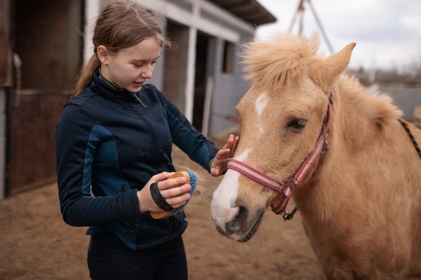 Mädchen striegelt ein Pony im Stall.