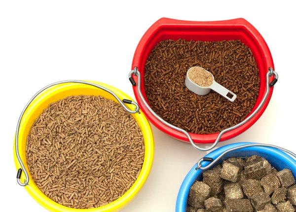 Bunte Eimer mit Pferdefutter-Pellets und Heucobs.