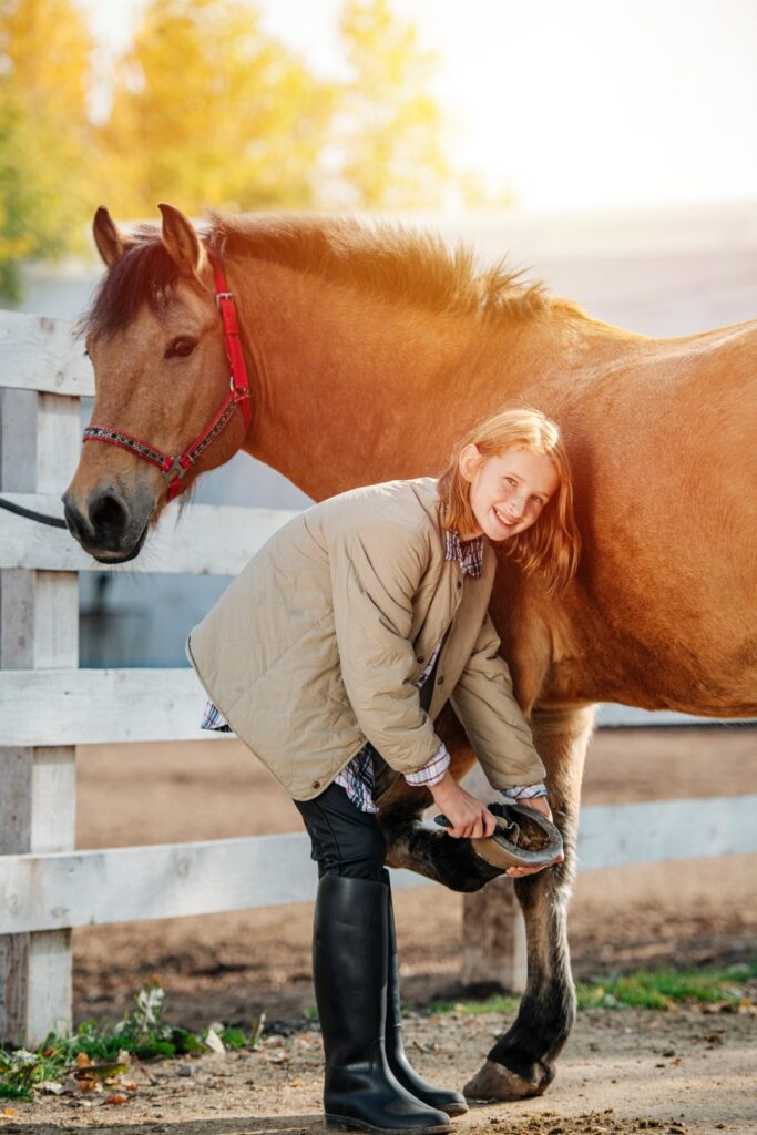 Kind pflegt Pferd im Rahmen einer Reitbeteiligung