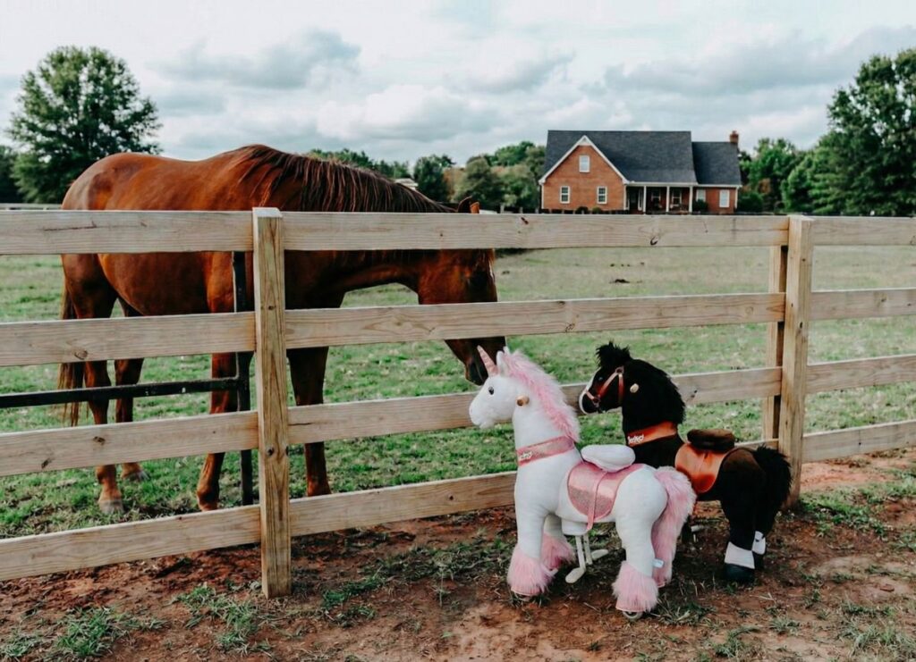 PonyCycle Pferd auf Rollen steht neben echtem Pferd am Zaun